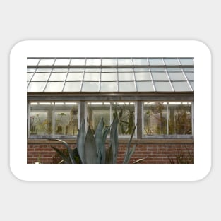 Plant Lady Succulent Cactus Greenhouse Sticker